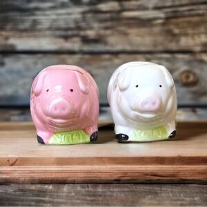 🍄Sweet Piggys Salt and Pepper Shakers